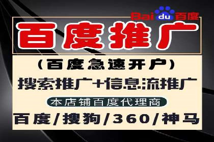 某旅游网站SEM优化案例：如何吸引目标用户